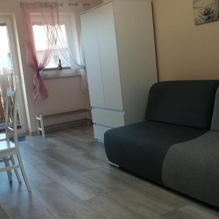 Nad Strumykiem 2 Duszniki Zdrój Extérieur photo